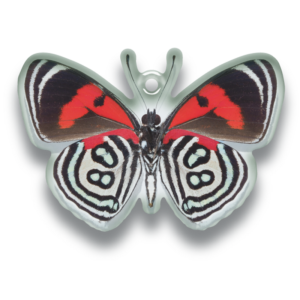 鱗翅学者の私的標本 アクリルマスコット2 – ネイチャーテクニカラー公式