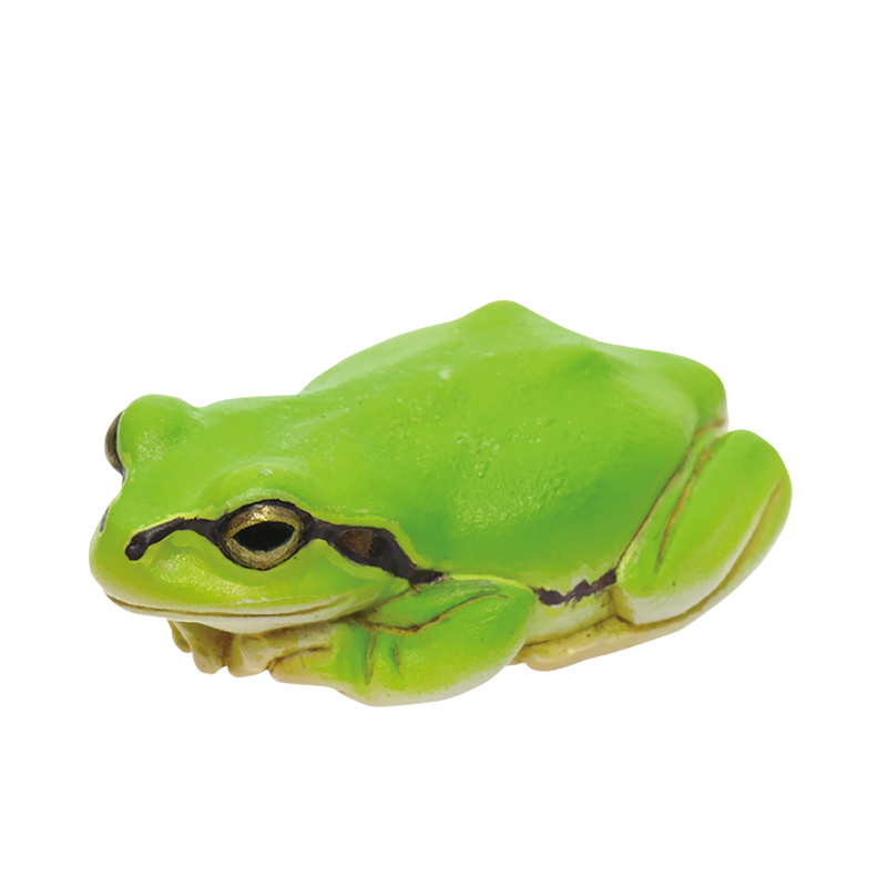 あまがえる NTC MONO+ アマガエル めじるしマスコット – ネイチャーテクニカラー公式