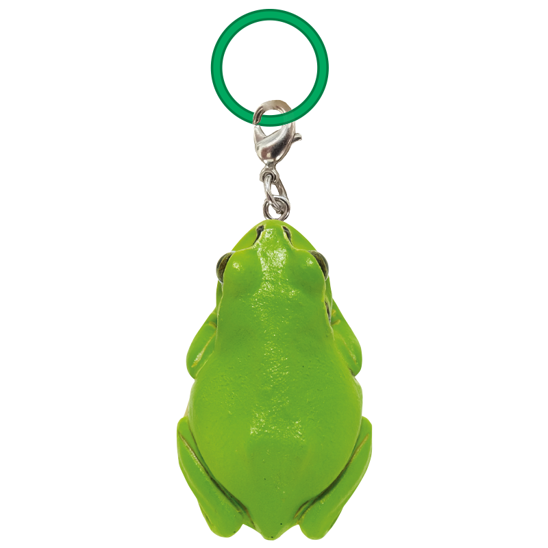 NTC MONO+ アマガエル めじるしマスコット – ネイチャーテクニカラー公式