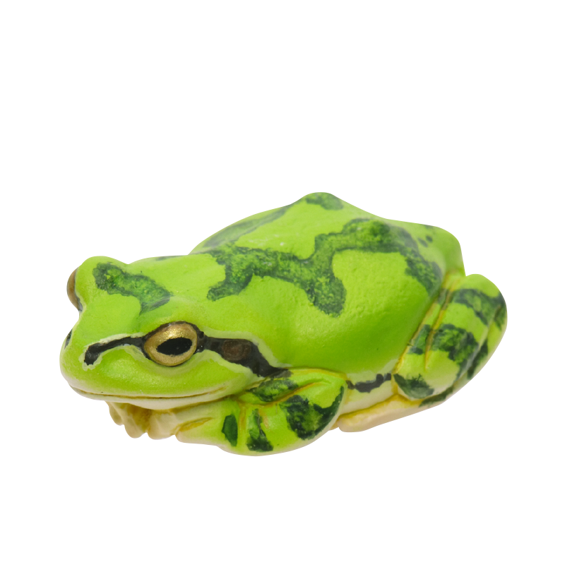 あまがえる NTC MONO+ アマガエル めじるしマスコット – ネイチャーテクニカラー公式