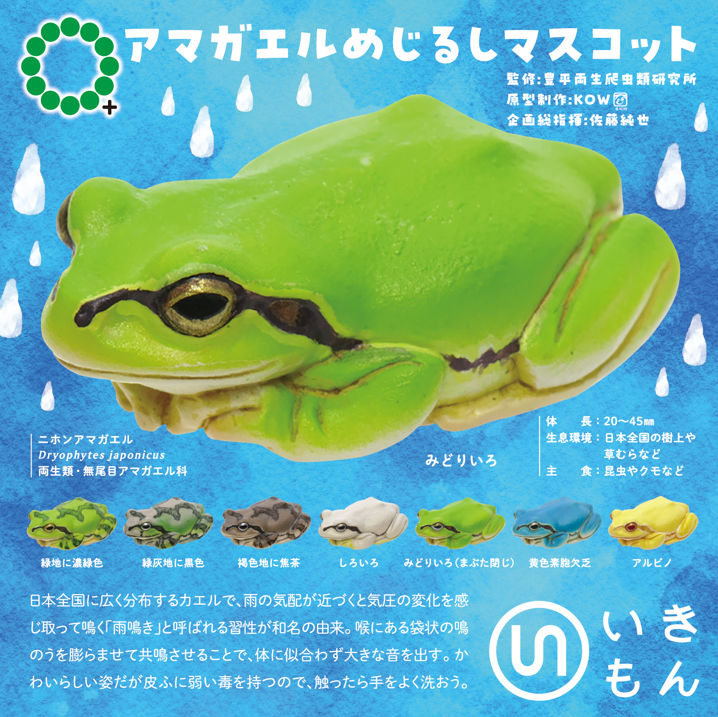あまがえる NTC MONO+ アマガエル めじるしマスコット – ネイチャーテクニカラー公式