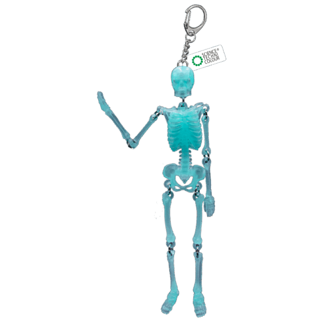 STC スケルトンズ イン スケルトンカラー – ネイチャーテクニカラー公式