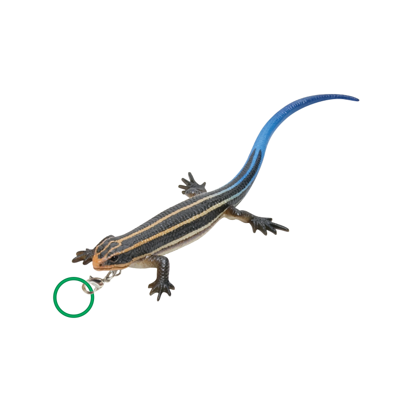 NTC MONO PLUS トカゲとヤモリ めじるしマスコット – ネイチャー