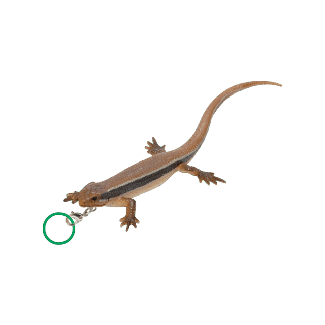 NTC MONO PLUS トカゲとヤモリ めじるしマスコット – ネイチャー