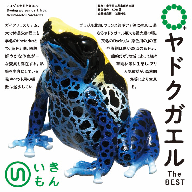 カエルの池様 カエルリス (Frog-Squirrels) · Avatar: The Last Airbender Eternal