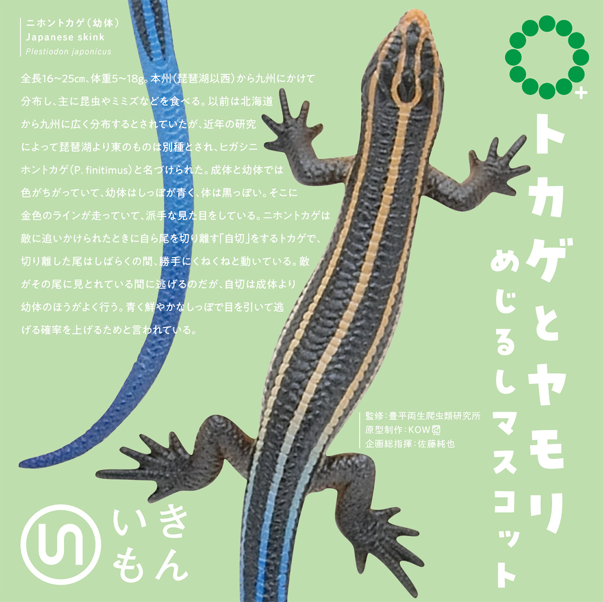NTC MONO PLUS トカゲとヤモリ めじるしマスコット – ネイチャー